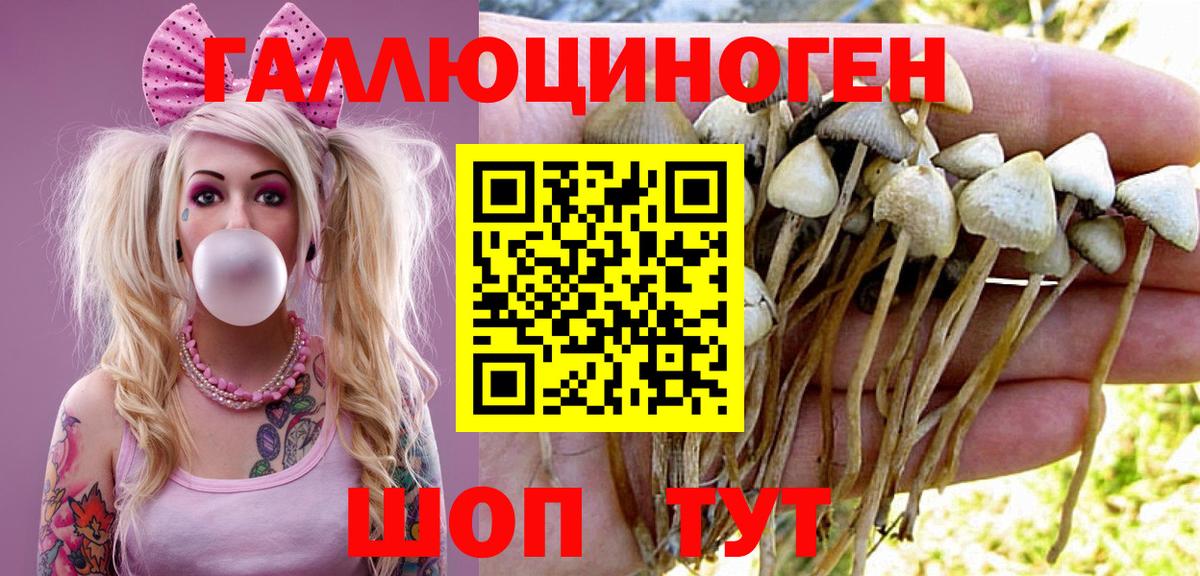 Галлюциногенные грибы Cubensis  Галлюциногенные грибы Cubensis  Вход с VPN  Кировск 